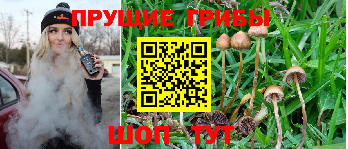 Псилоцибиновые грибы Psilocybine cubensis  Вход с VPN  Коломна 