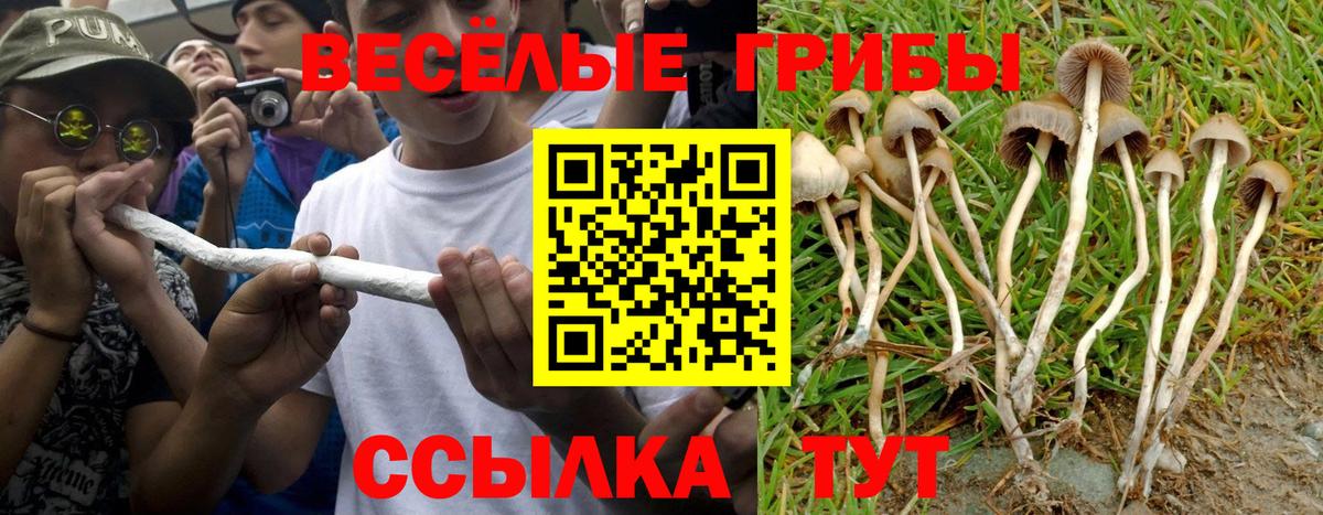 Магазины продажи наркотиков  Кокаин  Коломна  Вход с VPN  ГАШИШ  Мефедрон   Марихуана 